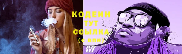 не бодяженный Заводоуковск