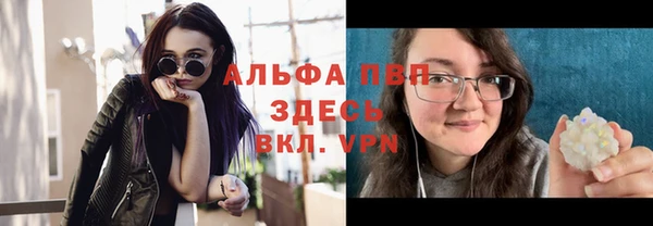 не бодяженный Заводоуковск