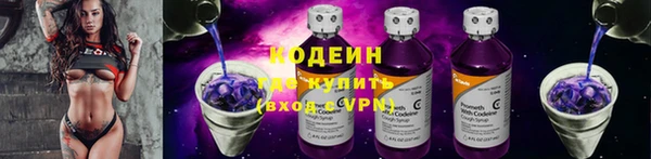 не бодяженный Заводоуковск