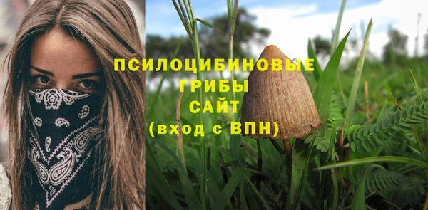 не бодяженный Заводоуковск