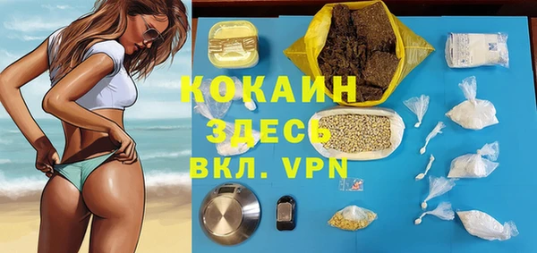 не бодяженный Заводоуковск