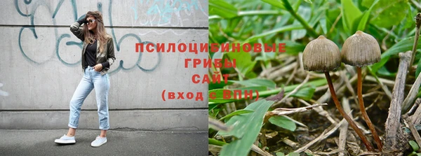 не бодяженный Заводоуковск