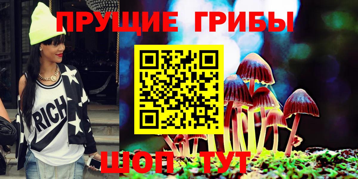 Галлюциногенные грибы Psilocybe Саянск