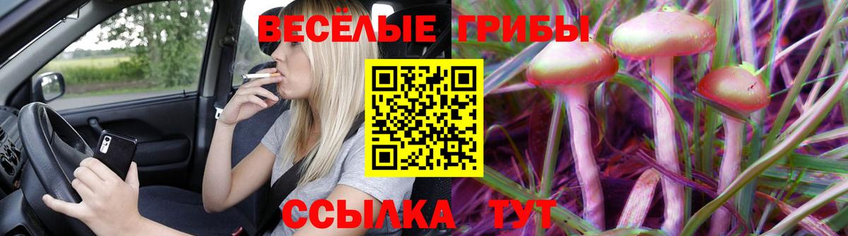 даркнет сайт  Вход с VPN  Саянск  Псилоцибиновые грибы ЛСД 